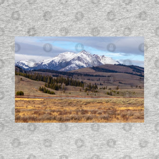 Snow-capped Mountains Yellowstone National Park by SafariByMarisa